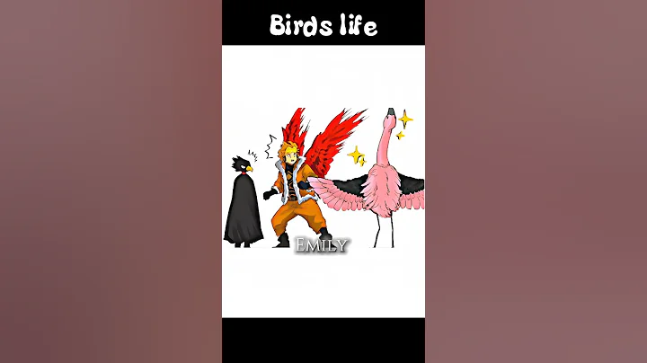 Birds Life 🐦#anime #mha #hawks #tokoyami #memes #fyp #edit #myheroacademia #shorts