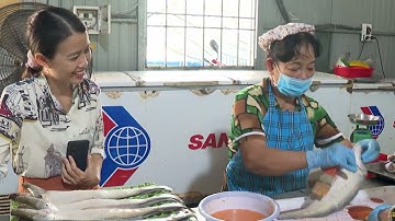 độc đáo món cá thác lác rút sương cô Bảy Lãnh