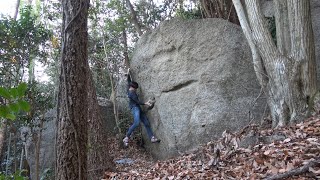 豊田「巣窟 ｅ(初段)」「ハイヒール ｅ(初段)」「息切れ ｅ(初段)」