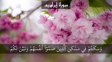 ماتيسر من سورة إبراهيم {القارئ طارق محمد}