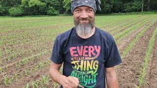 Arrowhead Hunting Indiana fields before the crops!