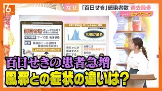 Birdwell 不在の為23日朝から一時出品停止致します。 Birdwell 不在の為23日朝から一時出品停止致します。 Birdwell
