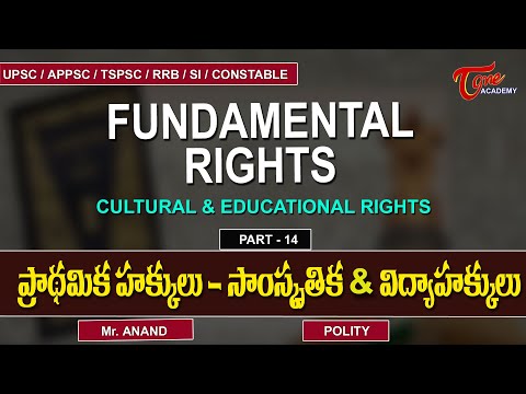 Fundamental Rights –