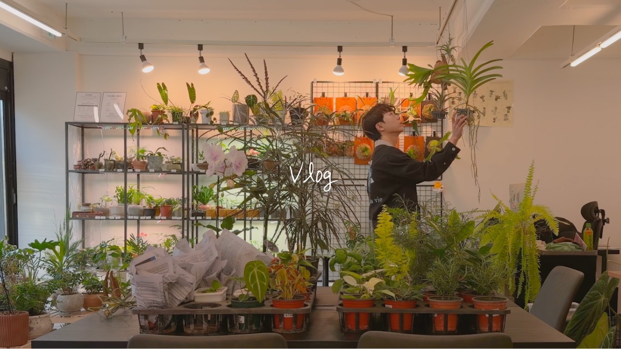 식물가게가 비싸다고 느껴지지 않기 위해 하는 것들 | 농장 다녀왔어요 | 식물가게 브이로그 | 식물 키우기