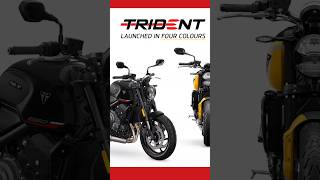 TRIUMPH TRIDENT Colour Options #shorts