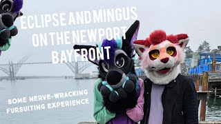 Furries explore the Bayfront (had some kids trying to harass us, which was pretty scary)