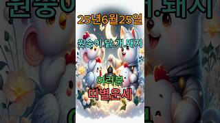 오늘의 운세 #복 #좋은글 #오늘의운세 #띠별운세 #원숭이띠 #닭띠 #개띠 #돼지띠