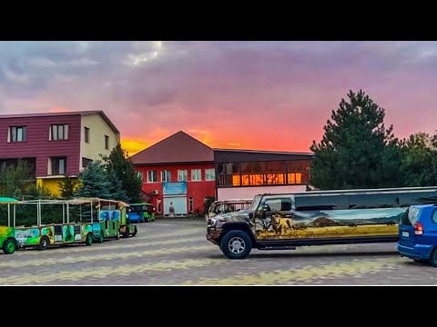 Мы вернулись домой, уставшие, но как же хорошо в парке, все питомцы рады тебя видеть)