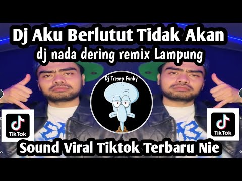 DJ AKU BERLUTUT