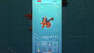 Pokémon Go - Catching Wild Torracat