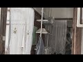 Wall Strage DIY 壁面収納を組み立ててみた