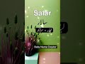 سالار سالار نام کے معنی اردو میں Shorts Salar Babynamecreator 