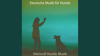 Musik, Susse