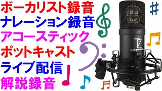 【Stellar X2】単一指向性に特化した高級マイクの音質をお聞きください【コンデンサーマイク】