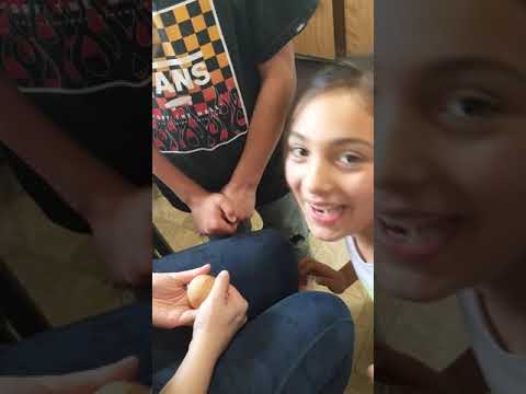 Pranked kids with Hatching Egg Prank 😆