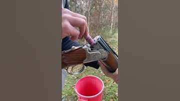 Caesar X Mary Arm #views #target #clay #shoot #reels #show #share #armsport #weekend #chill #day