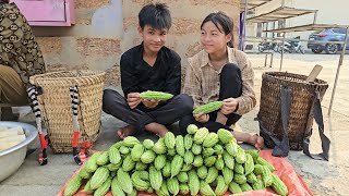 Homeless boy and girl picking bitter melon to sell and cook - Homeless Boy