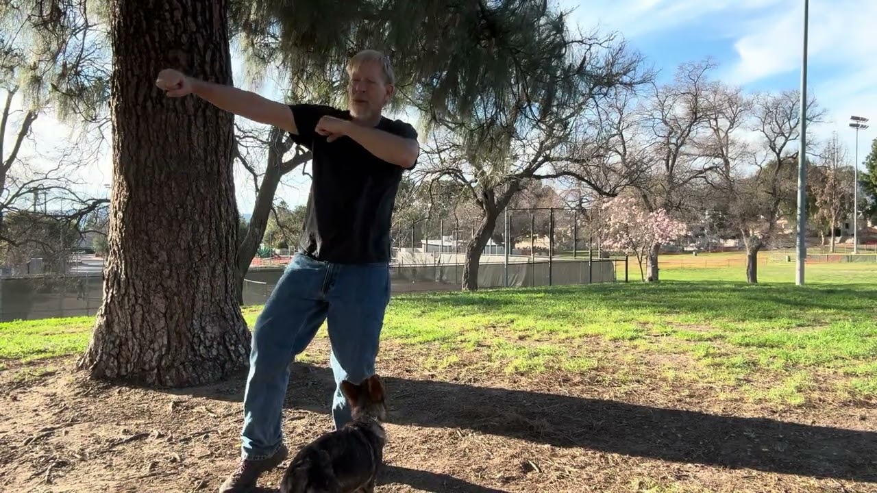 Kung Fu San Soo Form Class 27+28 Feb 7