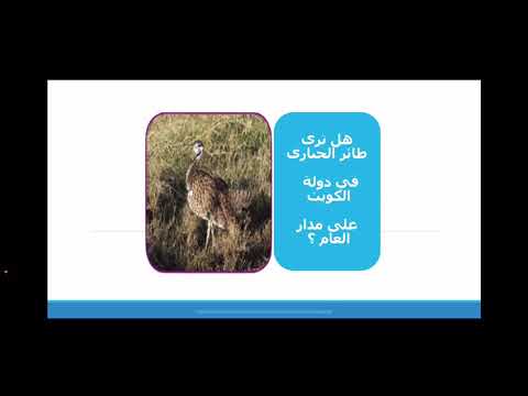 الصف الثالث الابتدائي العلوم 9 تكيف الحيوانات هجرة الطيور
