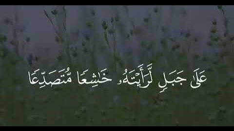 تلاوة هادئة بصوت الشيخ ماهر المعيقلي |ارح سمعك وقلبك بذكر الله |