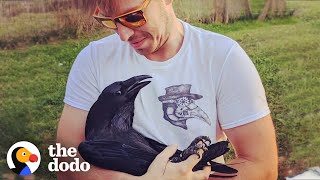 Raven Shakes His Tail Feathers Every Time He Sees Dad | The Dodo