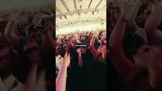 I need this song in my life
