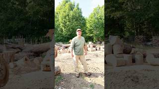 Special Guest Tomorrow in the Woodyard #getsplitdone #splitting @InMyBusyLittleShop #firewood