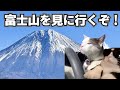 男2人で沼津へ旅行した何気ない話:前編【猫ミーム】