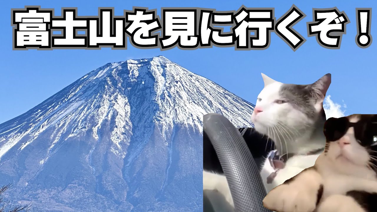 男２人で沼津へ旅行した何気ない話：前編【猫ミーム】