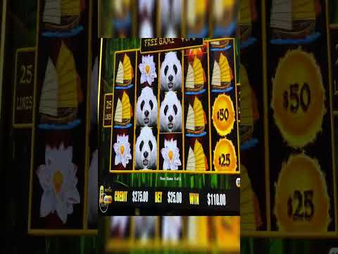 Caesars Slots - Skeleton Bay Bet 204 M Gameplay (48 Lines)