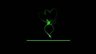 Byutvcedar Shore Productionsradish Creative Grouplitton Entertainment 2018