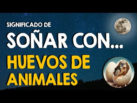 ¿Qué significa soñar con huevos de animales? 🥚 Soñar con huevos de animales ovíparos 🥚