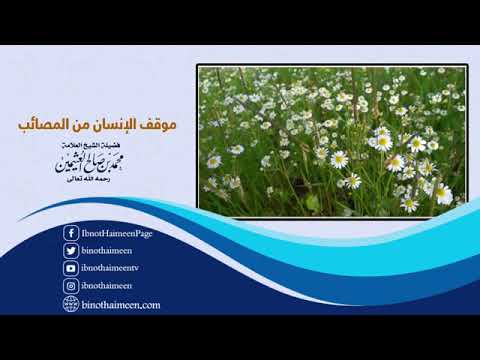 موقف الانسان من المصائب اللهم لا تجعل مصيبتا في دينن ياالله 