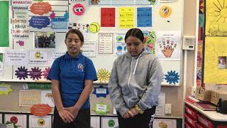 Te Wiki o Te Reo Māori Opening 2020
