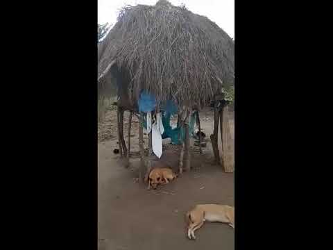 Cyclone Idai House Rebuilding Project