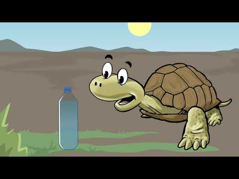 Facts About Desert Tortoises!