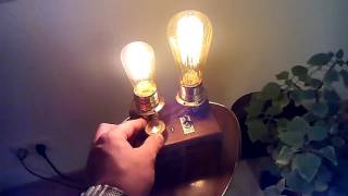 Vintage Steampunk Twin Bulbs