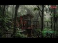 Deep Sleep Rain Loop with Gentle Storm Sounds