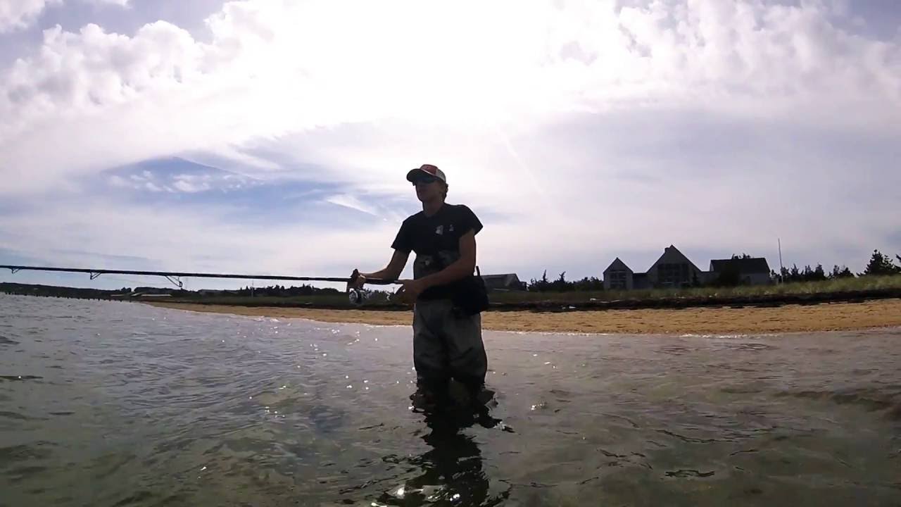 My Fishing Cape Cod Outting YouTube