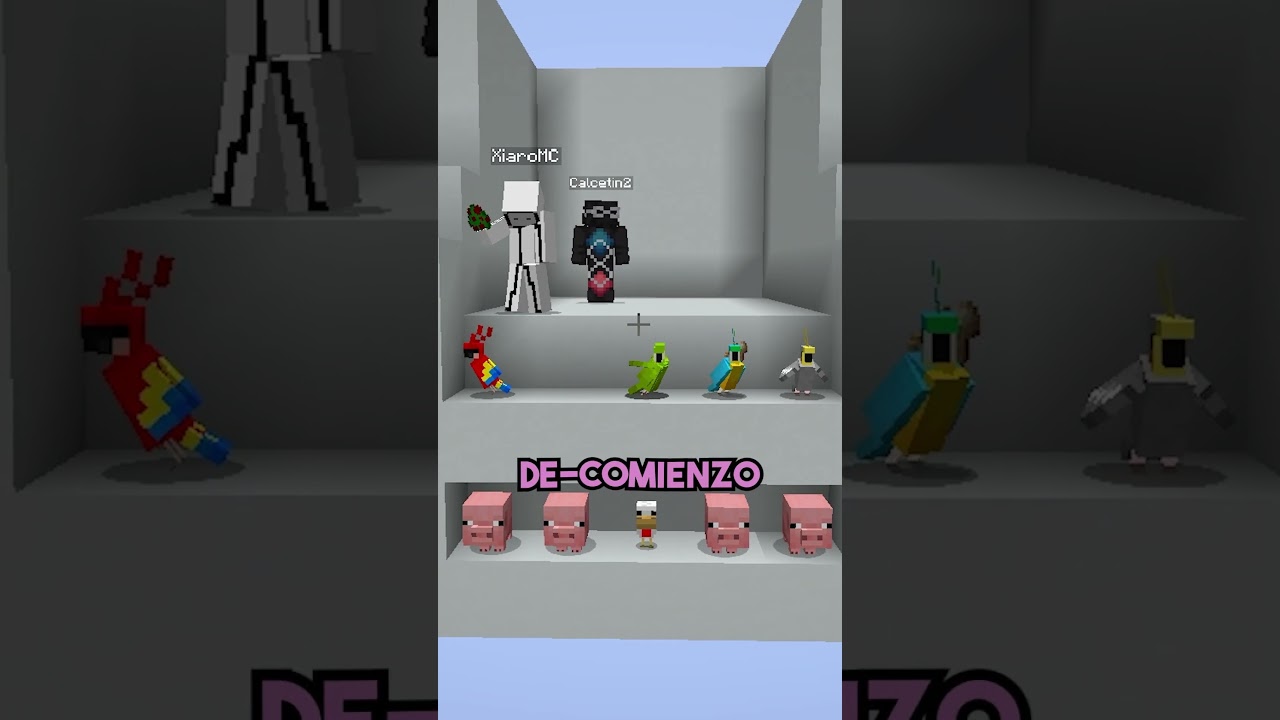 Calce y Xiaro de temu