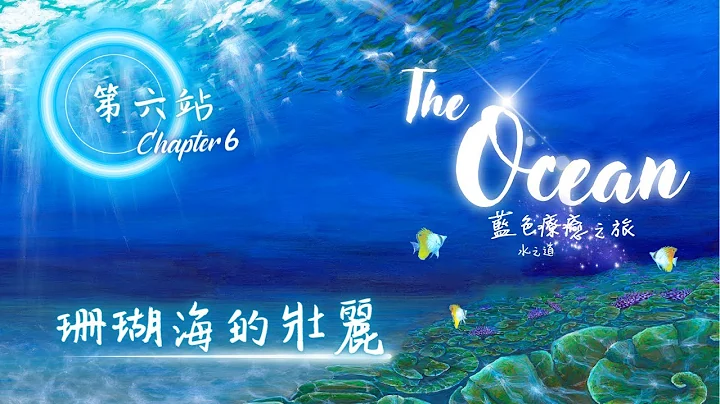 Chapter6 珊瑚海的壮丽｜《The Ocean》蓝色疗愈之旅-水之道 DVD｜第六站 抢先试看！ - 天天要闻