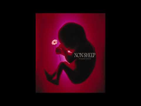 NON'SHEEP - カルマ
