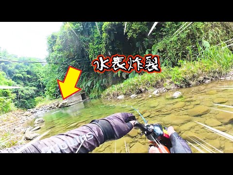 山中小溪釣魚處處有驚喜！ＭegaBass小狗直接水表炸裂！狂追猛追！