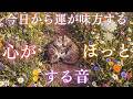 【今日から、運はあなたの味方です】安心した心に、幸運は静かに引き寄せられてきます。