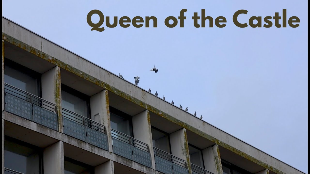 Queen of the Castle