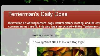 How Old Does A Male Dog Have To Be To Breed?