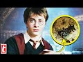 Harry potter major hints only muggles missed