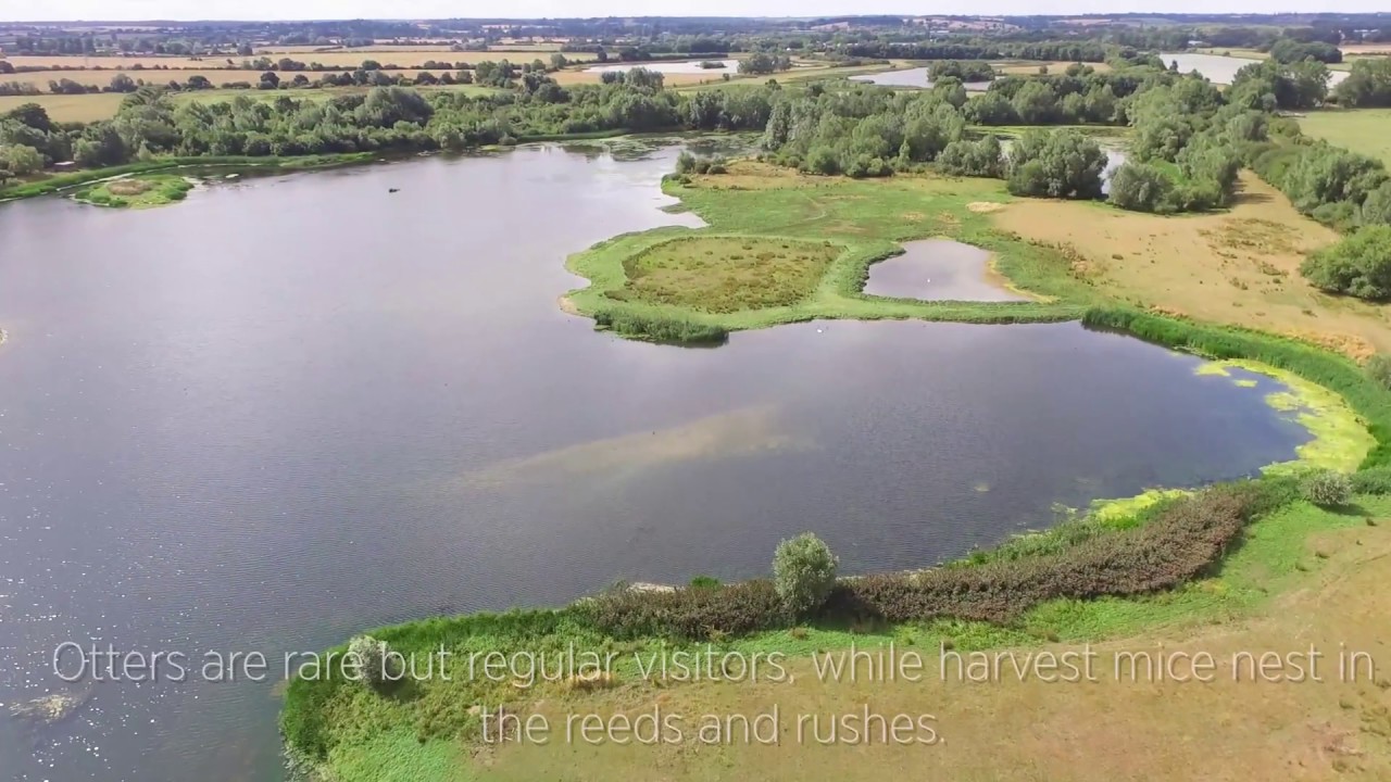 video phone beyonce mp3 Summer Leys - A View from Above
