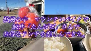 24C03マウンテンバイクで鯨井のたんぽぽさんでランチです