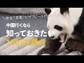 【重要】中国に行くなら知っておきたい15の注意点